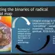 Dennis Placido - Exploring Strategies from Cordillera Concept of Inayan as a Response to PopeFrancis’ Encyclical Laudato Si on Integral Ecology